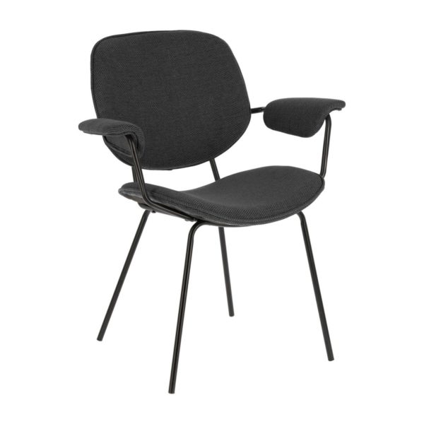 Blagovaonska stolica Naiquen, dvije boje