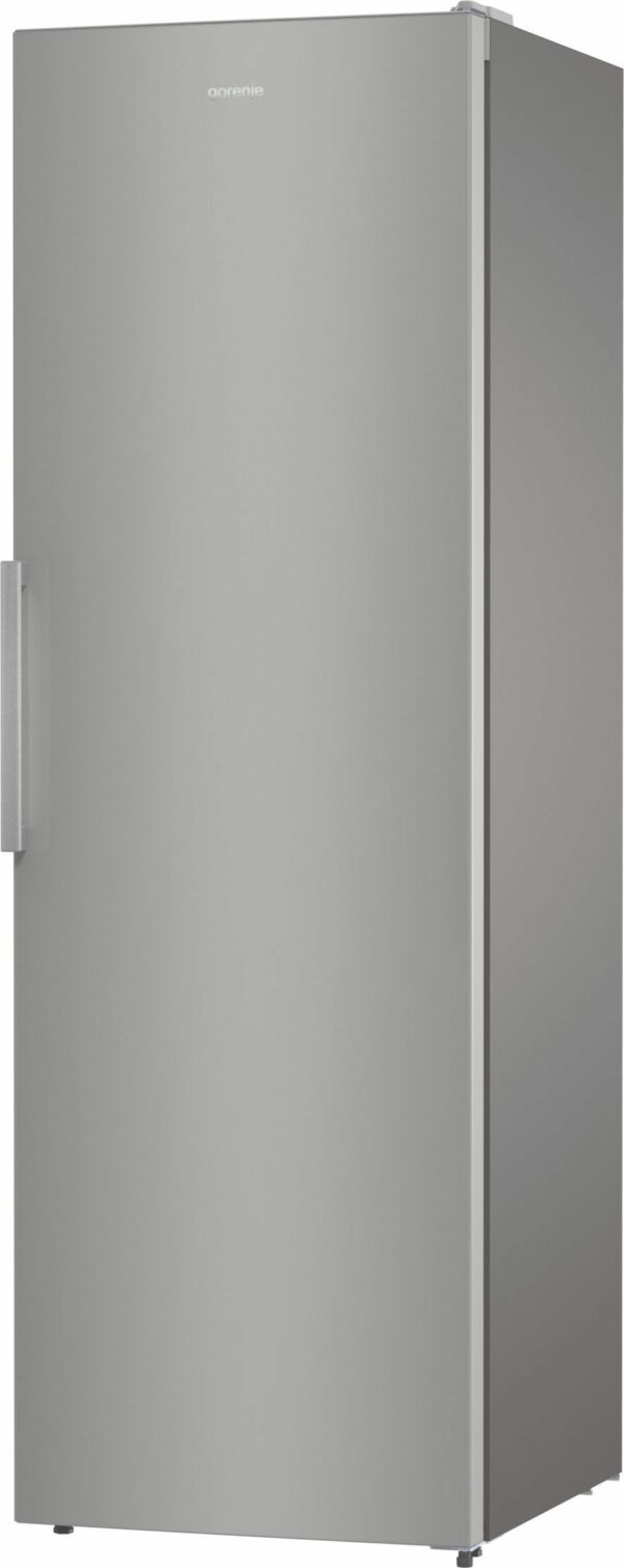 Samostojni hladilnik R619FES5