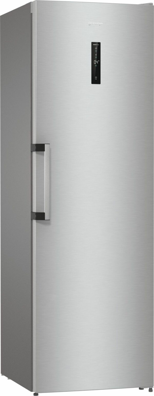 Samostojni hladilnik R619EAXL6