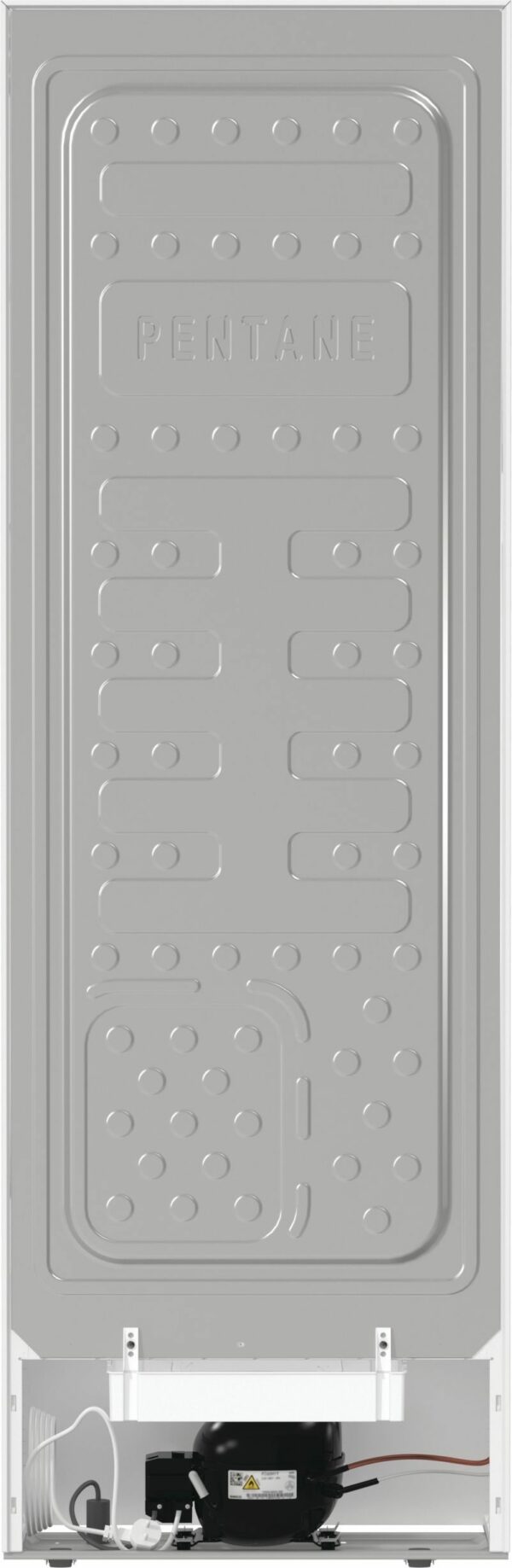 Samostojni hladilnik R619FEW5