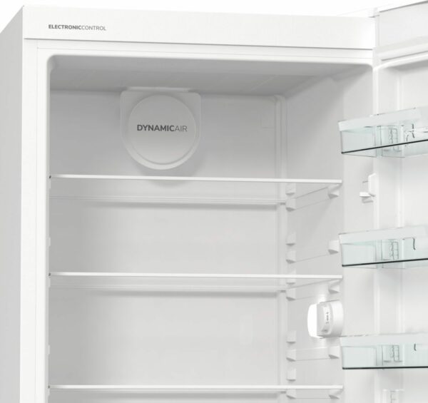 Samostojni hladilnik R619FEW5
