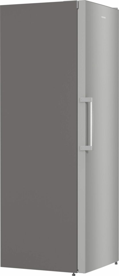 Samostojni hladilnik R619FES5