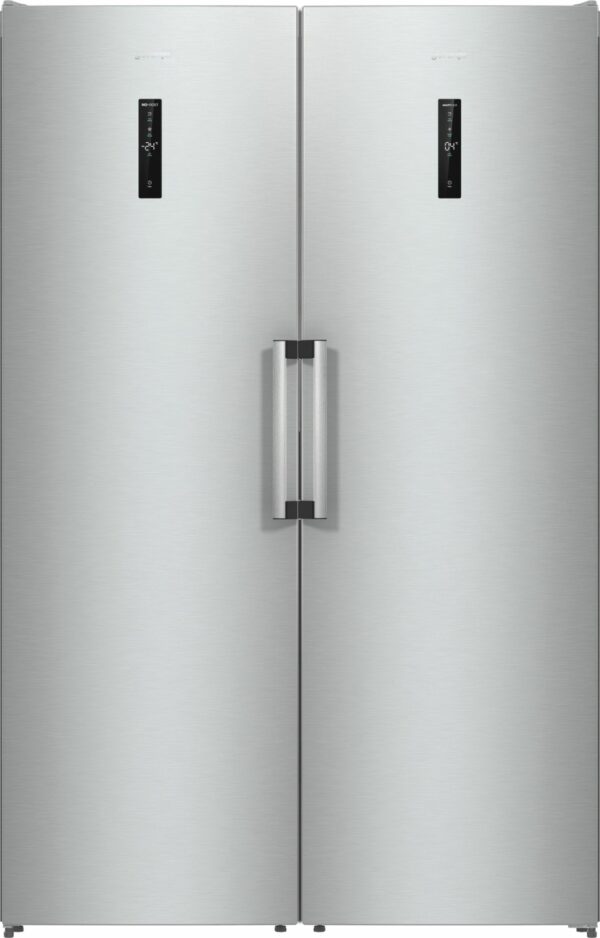 Samostojni hladilnik R619EAXL6