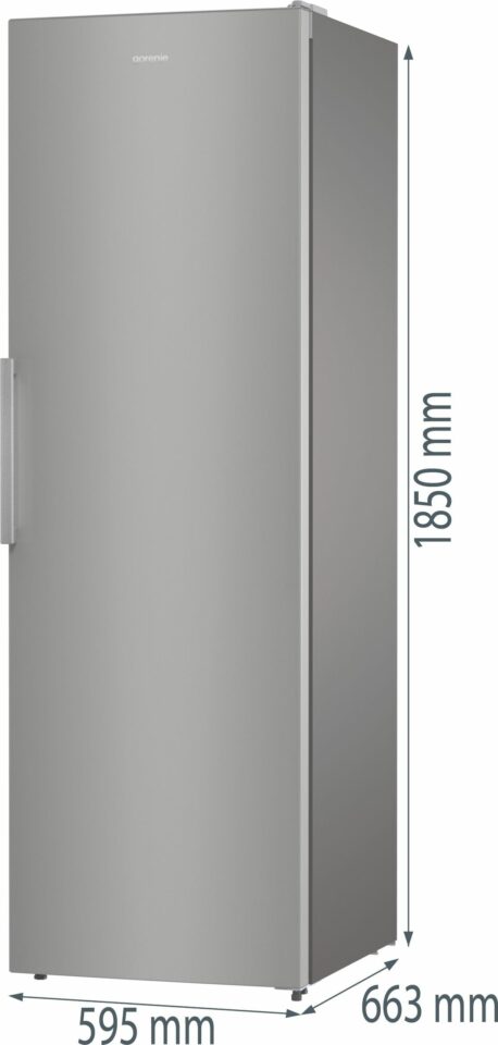 Samostojni hladilnik R619FES5