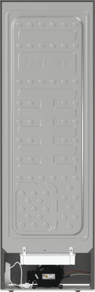 Samostojni hladilnik R619FES5