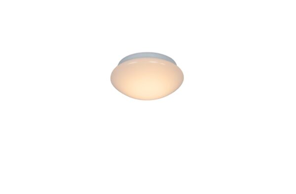 Montone 18 | IP44 | 2700K | Stropna svetilka | Bela