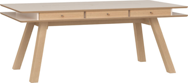 Jedilniška miza  4 You Fresh dimenzije 100 x 200