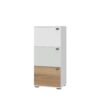 Omarica All Room Concept B3, fronte bela, svetlo zelena in pacifik oreh