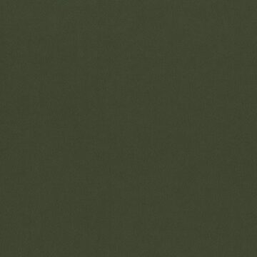 Vzorec tkanine Matt Velvet 38